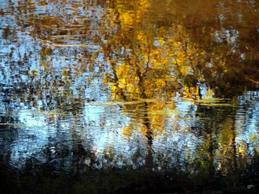Photographie intitulée "Monet or" par Loïc Le Douce (logan108), Œuvre d'art originale