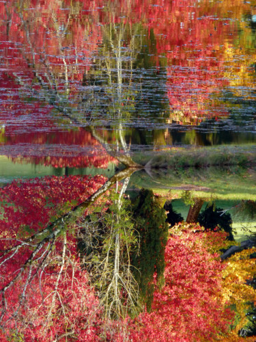 Photographie intitulée "Papillonage" par Loïc Le Douce (logan108), Œuvre d'art originale