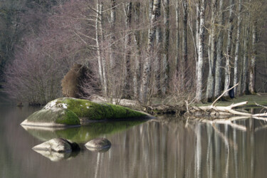 Fotografia zatytułowany „Minéral” autorstwa Loïc Bihannic, Oryginalna praca, Fotografia cyfrowa