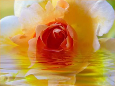 Arts numériques intitulée "Rose Noyée" par Lomel, Œuvre d'art originale