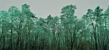 Photographie intitulée "Winter" par Lonicera, Œuvre d'art originale, Photographie numérique