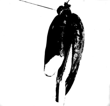 MADUROS EN ALTO CONTRASTE Photographie intitulée "MADUROS EN ALTO CON…" par Ricardo Lopez Risso, Œuvre d'art originale, Photographie argentique