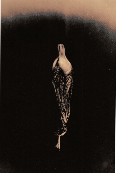 Photographie intitulée "Cucarda lith" par Ricardo Lopez Risso, Œuvre d'art originale, Photographie manipulée