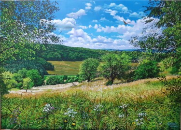 Картина под названием "Abandoned orchard" - Lorant Cucui, Подлинное произведение искусства, Акрил Установлен на Деревянная р…