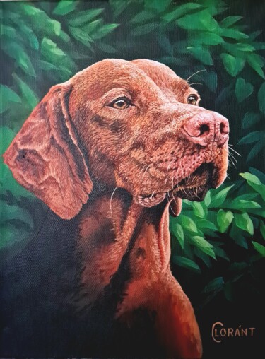 Painting titled "Vizsla dog" by Lorant Cucui, Original Artwork, Acrylic