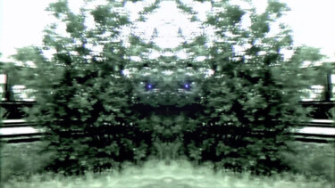 Photography titled "Bush The Monster" by Lord Faz, Original Artwork, Digital Photography