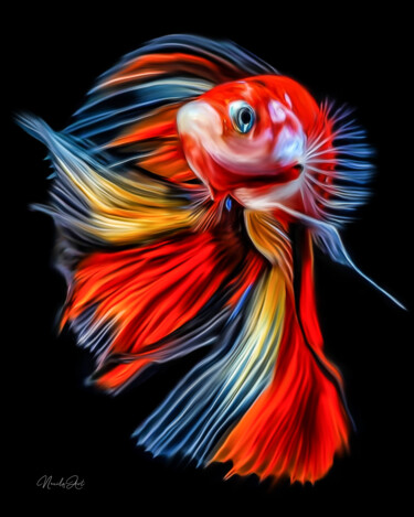 Digital Arts titled "Colourful Fish" by Lord Amihere, Original Artwork, Digital Painting