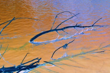 Fotografia intitolato "rami nell'acqua" da Lorenzo Corti, Opera d'arte originale, Fotografia digitale