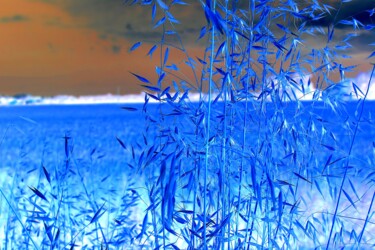 Photographie intitulée "grano in negativo" par Lorenzo Corti, Œuvre d'art originale, Photographie numérique