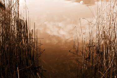 Fotografia intitolato "riva del lago" da Lorenzo Corti, Opera d'arte originale, Fotografia digitale