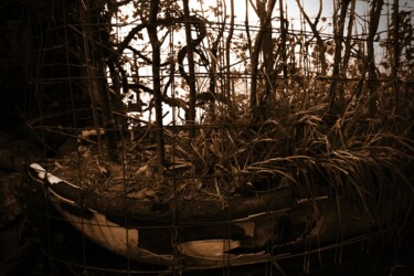 Photographie intitulée "barca naturale" par Lorenzo Corti, Œuvre d'art originale, Photographie numérique