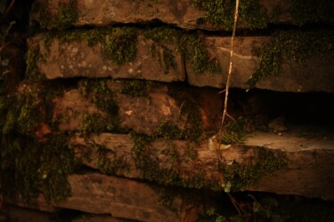 Fotografia intitolato "muro di pietra" da Lorenzo Corti, Opera d'arte originale, Fotografia digitale