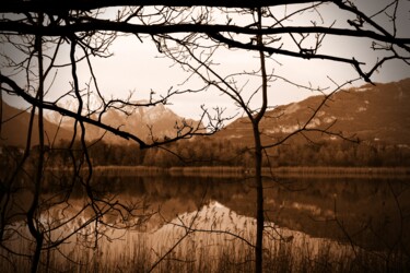 Fotografia intitolato "lago con gli alberi" da Lorenzo Corti, Opera d'arte originale, Fotografia digitale