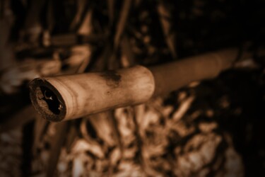 "bambù tagliato" başlıklı Fotoğraf Lorenzo Corti tarafından, Orijinal sanat, Dijital Fotoğrafçılık