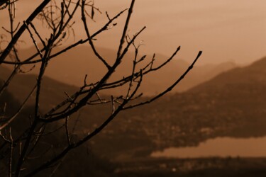 Fotografia intitolato "rami sulla montagna" da Lorenzo Corti, Opera d'arte originale, Fotografia digitale