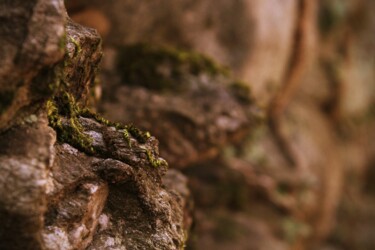 Photographie intitulée "roccia macro" par Lorenzo Corti, Œuvre d'art originale, Photographie numérique