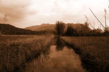 Fotografia intitulada "fiume nel campo" por Lorenzo Corti, Obras de arte originais, Fotografia digital
