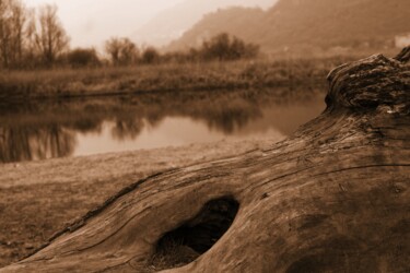 Photographie intitulée "tronco a terra" par Lorenzo Corti, Œuvre d'art originale, Photographie numérique