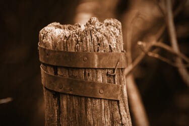 Photography titled "palo di legno#2" by Lorenzo Corti, Original Artwork, Digital Photography