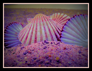 Conchiglie Arte digitale intitolato "Conchiglie" da Loretta Bartoli, Opera d'arte originale,