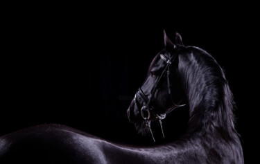 Fotografia zatytułowany „Black Horse VIII” autorstwa Lori Adamski-Peek, Oryginalna praca, Fotografia cyfrowa