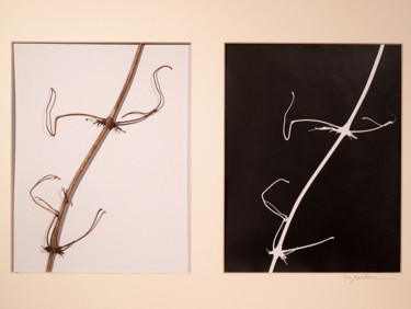 "Yin Yang 58" başlıklı Kolaj Robert Marcel Becker tarafından, Orijinal sanat, Analog Fotoğrafçılık Karton üzerine monte edil…