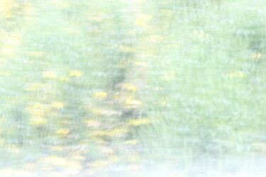 Photography titled "Yellow On Green _ 1" by Glenn Michael Morley, Original Artwork, Digital Photography