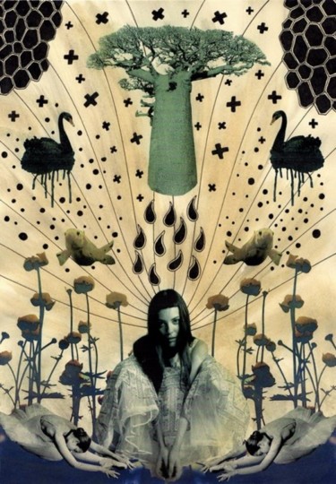 Collages intitulée "Bleading baobab & a…" par Lost Beauty, Œuvre d'art originale