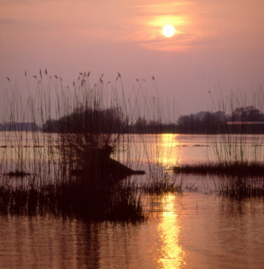 Photographie intitulée "Sonnenuntergang an…" par Lothar Reupert, Œuvre d'art originale, Photographie argentique