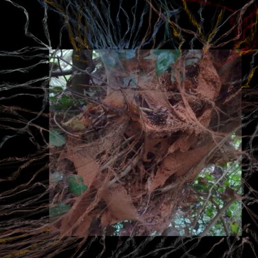 Arts numériques intitulée "Ça déborde du cadre…" par Lotus20artabstrait, Œuvre d'art originale, Peinture numérique