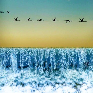 Фотография под названием "Migration 1" - Lou Perdu, Подлинное произведение искусства