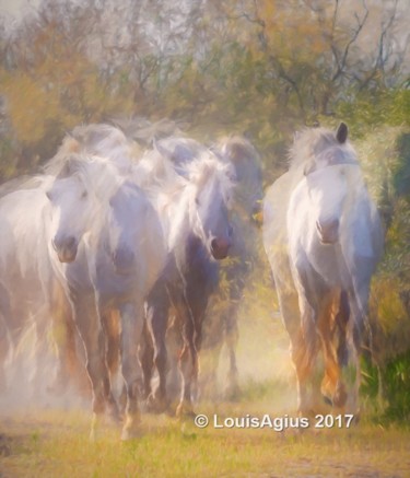 Photographie intitulée "mg-7604-a4.jpg" par Louis Agius, Œuvre d'art originale