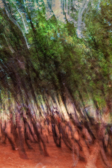 Photography titled "many-trees-2.jpg" by Louis Agius, Original Artwork