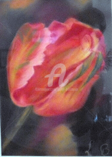 Peinture intitulée "tulipe-rouge.jpg" par Louise Bressange, Œuvre d'art originale, Pastel