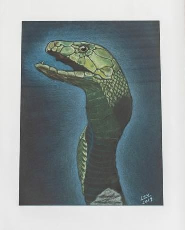 Pintura intitulada "Cobra" por Lourdes Schulz, Obras de arte originais, Pastel