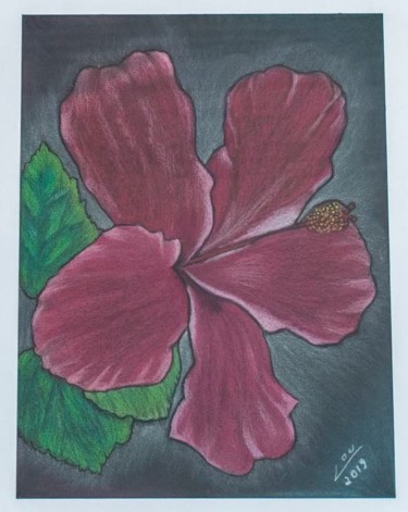 Pintura intitulada "Flor Vermelha" por Lourdes Schulz, Obras de arte originais, Pastel