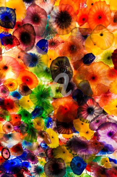 Fotografie getiteld "Colored Jellyfish" door Lou Zucchi, Origineel Kunstwerk