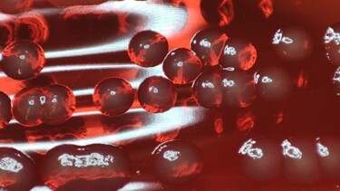 Fotografie getiteld "reddish glasspiel" door Lovely Microbe, Origineel Kunstwerk, Digitale fotografie
