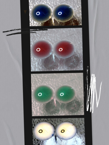 Fotografía titulada "bacteria eyes editi…" por Lovely Microbe, Obra de arte original, Fotografía digital
