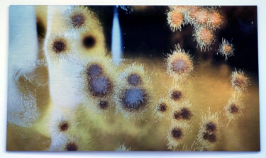 Grafika cyfrowa / sztuka generowana cyfrowo zatytułowany „Sunflowers” autorstwa Lovely Microbe, Oryginalna praca, Fotografia…