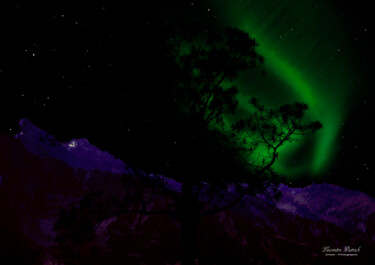 Arte digitale intitolato "aurore-boréal" da Lecointre Patrick Artiste - Photographe, Opera d'arte originale, Fotomontaggio