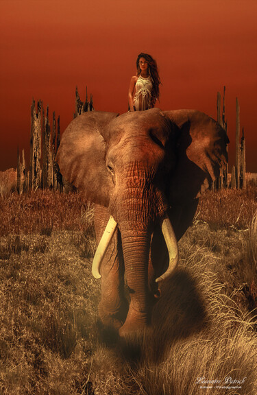 Digitale Kunst mit dem Titel "Safaris" von Lecointre Patrick Artiste - Photographe, Original-Kunstwerk, Fotomontage Auf Alum…