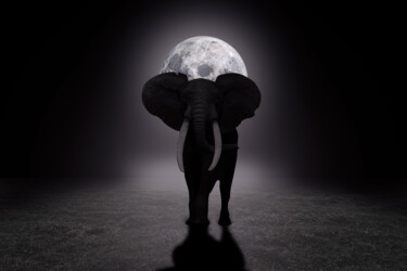Arte digitale intitolato "Nuit Africaine" da Lecointre Patrick Artiste - Photographe, Opera d'arte originale, Fotomontaggio