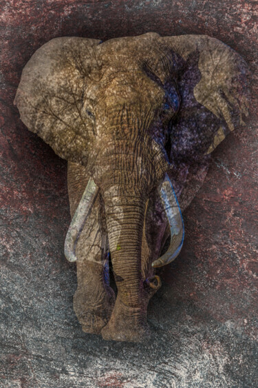 Arts numériques intitulée "Éléphant d'Afrique" par Lecointre Patrick Artiste - Photographe, Œuvre d'art originale, Peinture…