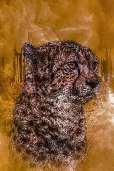 Digitale Kunst mit dem Titel "Le Guépard" von Lecointre Patrick Artiste - Photographe, Original-Kunstwerk, Digitale Malerei