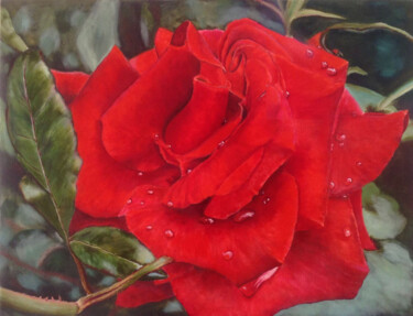 Pintura intitulada "Scarlet rose close…" por Liubov Samoilova, Obras de arte originais, Óleo