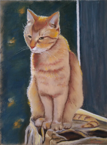 Painting titled "Ginger cat lit by t…" by Liubov Samoilova, Original Artwork, Pastel
