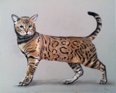 Painting titled "Bengal cat breed" by Liubov Samoilova, Original Artwork, Pastel