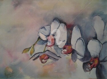 Painting titled "orchidees 1" by Luc Mora, Original Artwork, Watercolor
