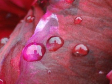 Photography titled "Drops" by Luca Cocchiere, Original Artwork, Digital Photography